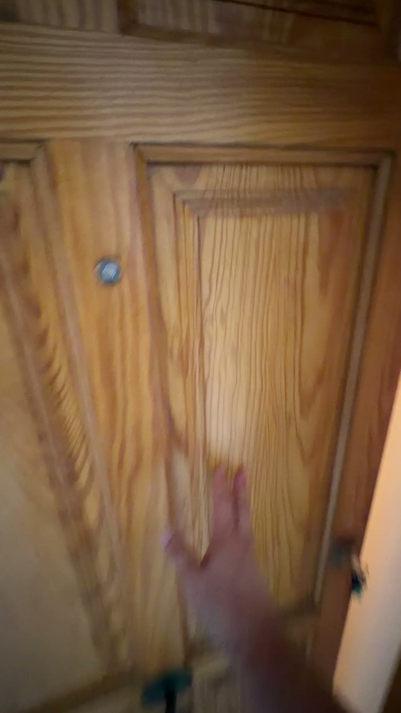 Video prohlídka apartmánu